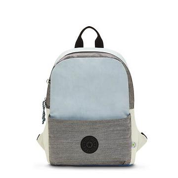 Kipling Sonnie 15" Backpack Laptopväska Grå | SE 1543GS